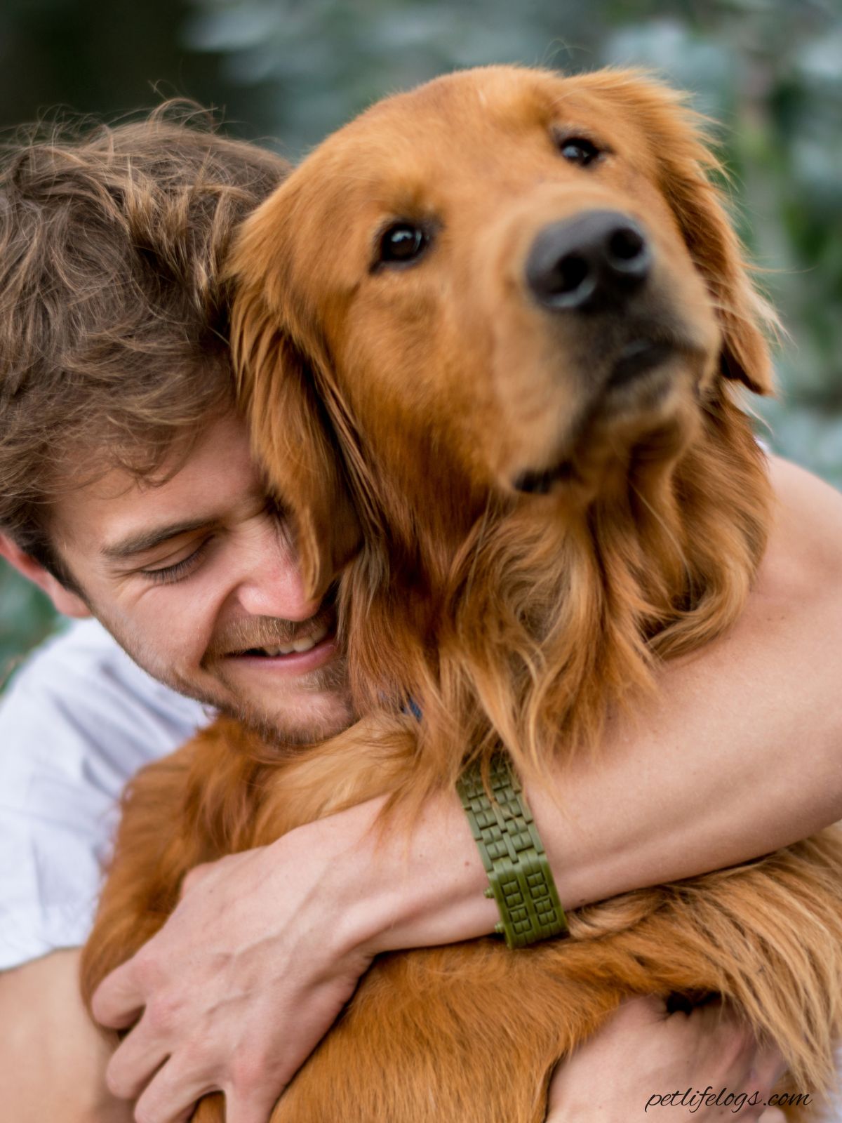 Puppy Feeding Schedule: How Much & How Often to Feed Your Puppy (By Age)